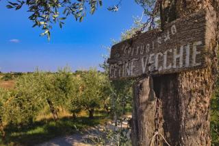 Cetine Vecchie - Torrita di Siena - 9