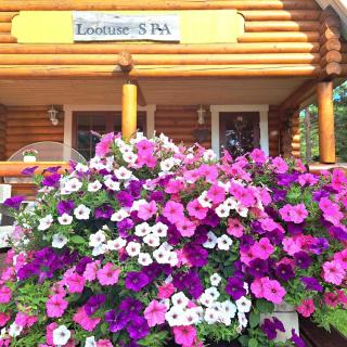 Lootuse Spa - Nõmmemaa - 8