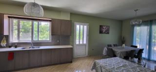 Diamond villa - Afrayiás - 3