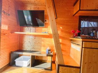 Tiny Town Honeymoon Love Byrd on Lake Eastland by Vacation Your Way - Eastland - 4