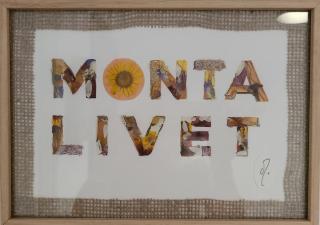 Monta Casa - Vendays-Montalivet - 5