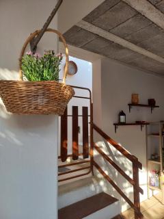 vacanza nel salento1 - Matino - 2