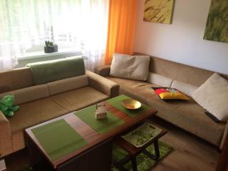 2-pokojowe Apartamenty KAMIL Krynica-Zdrój - Krynica-Zdrój - 9