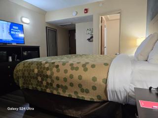 Econo Lodge Inn & Suites - Mason City - 4