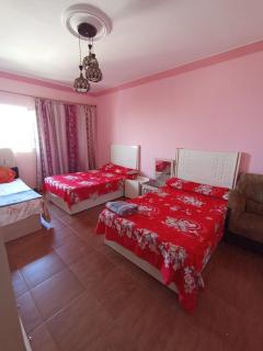Entirely furnished apartment for rent in Maadi - Il Cairo - 1