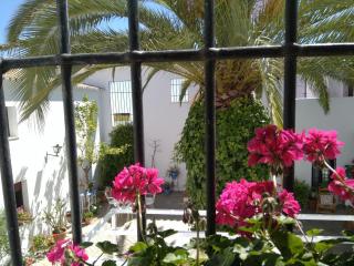Alojamiento Las Palmeras - - 2
