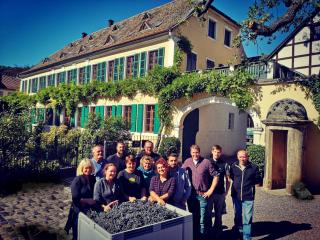 Unterkunft im Weingut Fitz-Ritter - Bad Dürkheim - 7