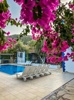 Pineloft Selimiye - Muğla - 1