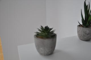 Ferienwohnung "Julka" kostenloses W-LAN - 6