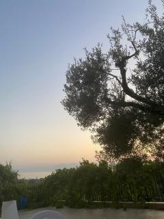 OLIVE&VIEW - Nea Moudania - 6