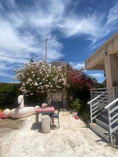 Paradise house - 8