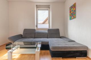 Wohnung Nähe Mainz in ehemaligem Weingut mit 6 Schlafzimmer - - 2
