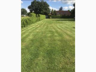 Holiday apartment Strackholt - 1