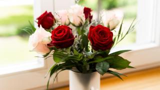 Hotel Schloss Sigrön - 1