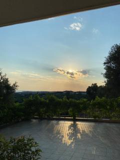 OLIVE&VIEW - Nea Moudania - 7