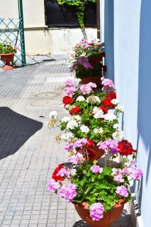 Villino La Perla Azzurra- Marina di Pisa - 6