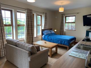 Twin Lakes Studio Apt - Carrickmacross - 5