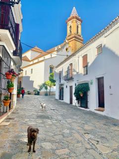 Los Angeles - Estepona - 2