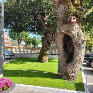 A casa do castaño - 1