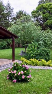 Casa en los Nogales Yala - 5