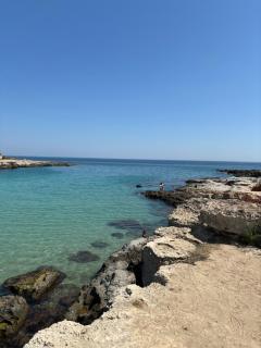 Almar - Monopoli - 0