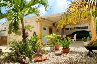Studio apt plus rentacar close to airport & beach - Oranjestad - 8