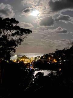 Hillside Haven - Avoca Beach - 9