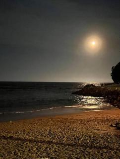 Hillside Haven - Avoca Beach - 4