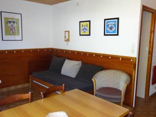 Location 2 pièces Les Gets, centre-ville, 4 pers., WiFi, draps et serviettes inclus - FR-1-802-6 - Les Gets - 8