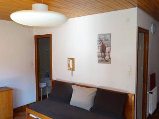 Les Gets, 2 Pièces, 4 Pers, Centre, WiFi, Draps et Serviettes Inclus - FR-1-802-36 - Les Gets - 6