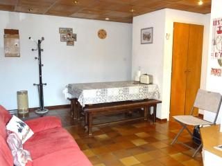 Duplex 2 pièces pour 5 pers - Pieds des pistes - Garage - Près navette - Les Gets - FR-1-802-38 - Les Gets - 7