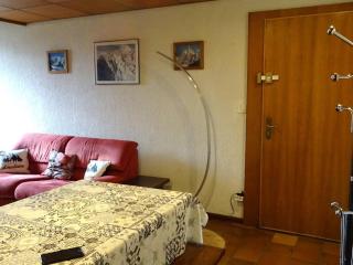 Duplex 2 pièces pour 5 pers - Pieds des pistes - Garage - Près navette - Les Gets - FR-1-802-38 - 3