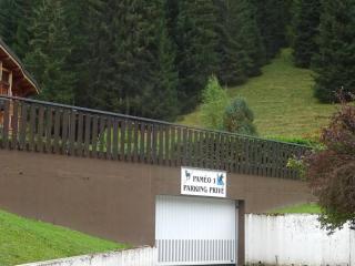 Duplex 2 pièces pour 5 pers - Pieds des pistes - Garage - Près navette - Les Gets - FR-1-802-38 - 5