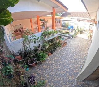 Omah Rejosari Homestay Jogja - Balong - 2