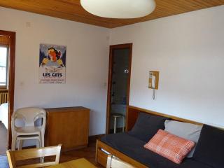 Spacieux 2 Pièces au Coeur des Gets - 4 Pers - Balcon, WiFi, Draps et Serviettes Inclus - FR-1-802-53 - Les Gets - 8