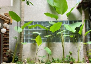 5-homestay I - Vung Tau - 1