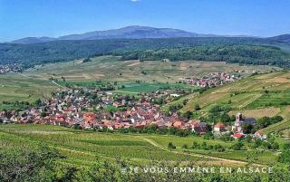 gites du bel Alsace cote vignoble - Westhalten - 9
