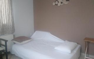 Ανδρος Αρκουδα - 2