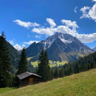 Gasthof-Pension Wulfenia - Gargellen - 7