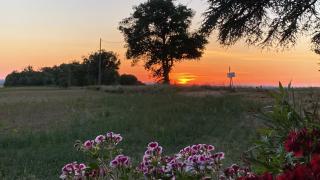 Domaine Labatut - - 1