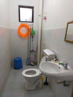 bhnorguaranazonestudio - - 2