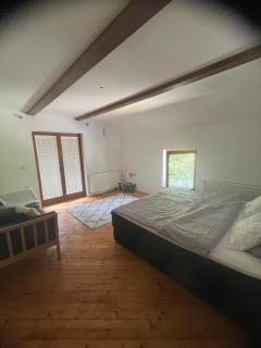 Sarajevo Luxury Villa - Sarajevo - 1