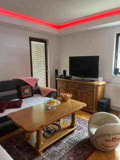 Sarajevo Luxury Villa - Sarajevo - 3