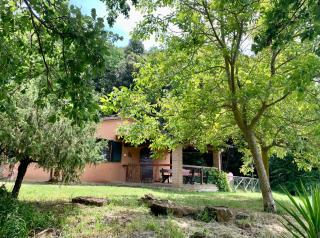 Agriturismo Fattoria La Prugnola - Montescudaio - 9