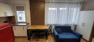 Leśna Apartment - Hel - 9