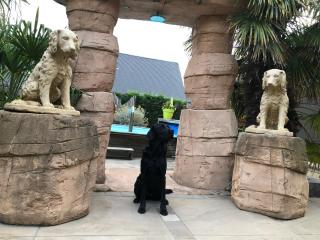 B&B wellness Sea Nat voor Naturisten - 6