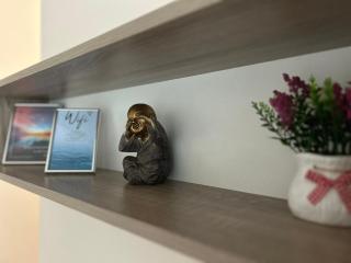 Апартаменти и Студиа Алекса Созопол Apartments and Studios Alexa Sozopol - Sosopol - 0