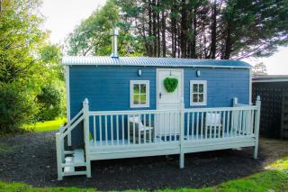 Unique Retreat Shepherd's Hut - 7