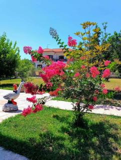 Alexandra's garden - Paliouri - 3