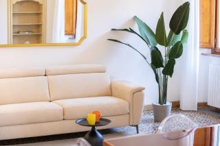 Singer House in Center Town - 9